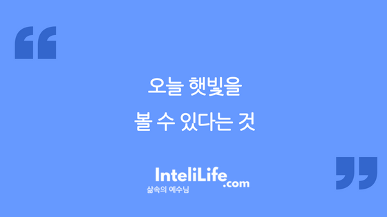 오늘 햇빛을 볼 수 있다는 것