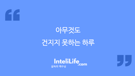 아무것도 건지지 못하는 하루