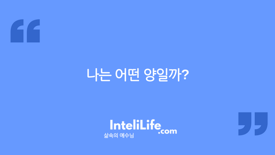 나는 어떤 양일까?