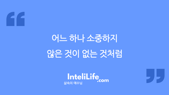 어느 하나 소중하지 않은 것이 없는 것처럼