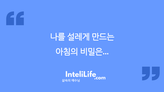 나를 설레게 만드는 아침의 비밀은…