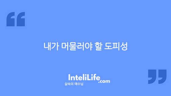 내가 머물러야 할 도피성